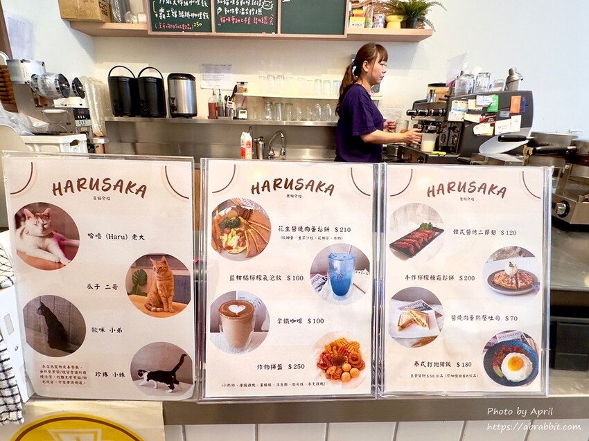 台中后里寵物友善餐廳推薦！春坂早午餐店貓陪吃幸福滿分。