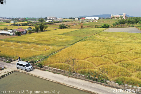 外埔麥田圈 (13) 外埔麥田圈 (13)