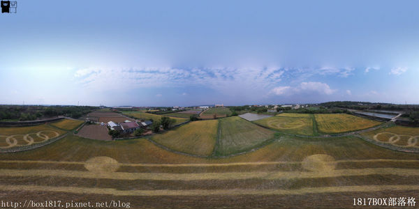 外埔麥田圈 (3) 外埔麥田圈 (3)