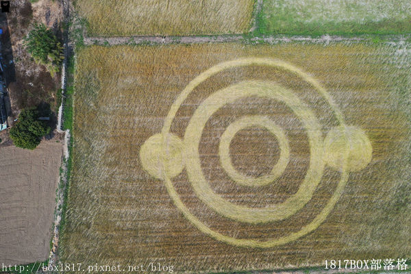 外埔麥田圈 (6) 外埔麥田圈 (6)