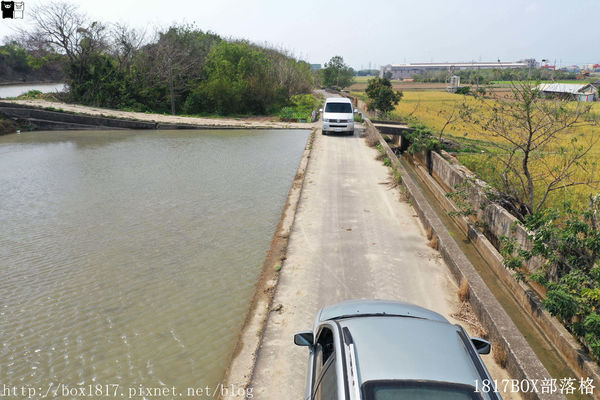 外埔麥田圈 (8) 外埔麥田圈 (8)