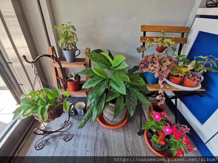 IMG_20191020_141337.jpg IMG_20191020_141337.jpg