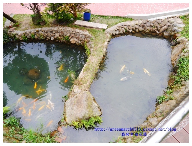 P9330931 (620x465).jpg