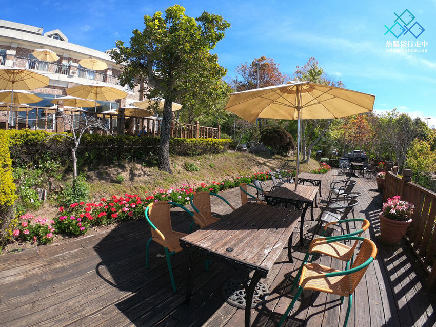 魚腦袋行走中_南投旅遊_明琴清境莊園 (31).jpg