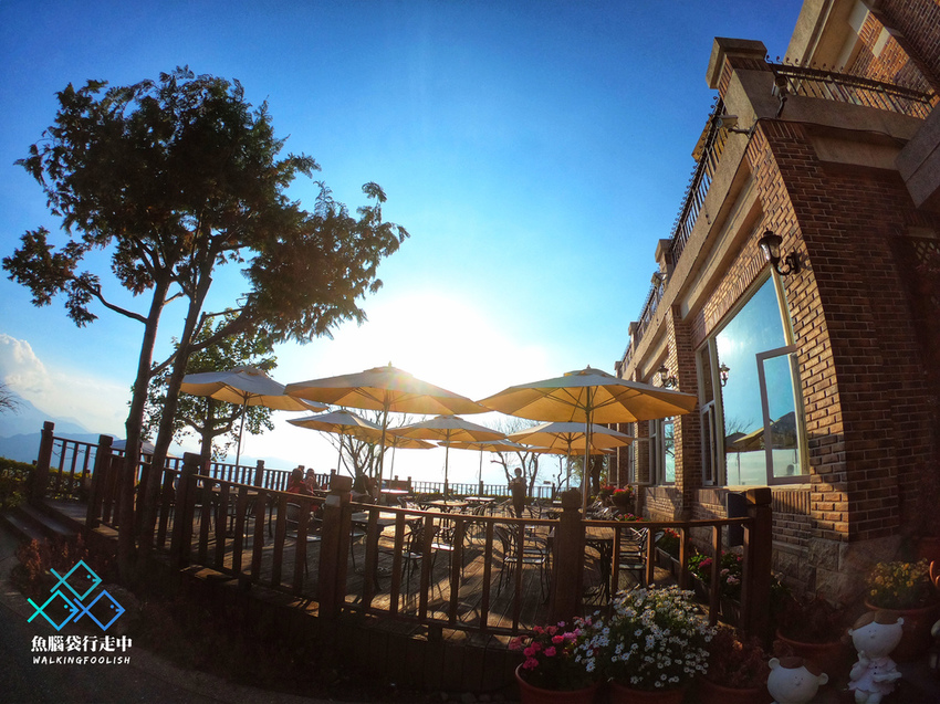 魚腦袋行走中_南投旅遊_明琴清境莊園 (23).jpg