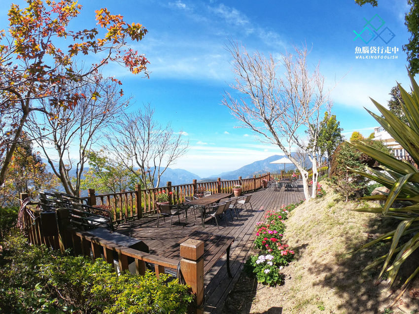 魚腦袋行走中_南投旅遊_明琴清境莊園 (29).jpg