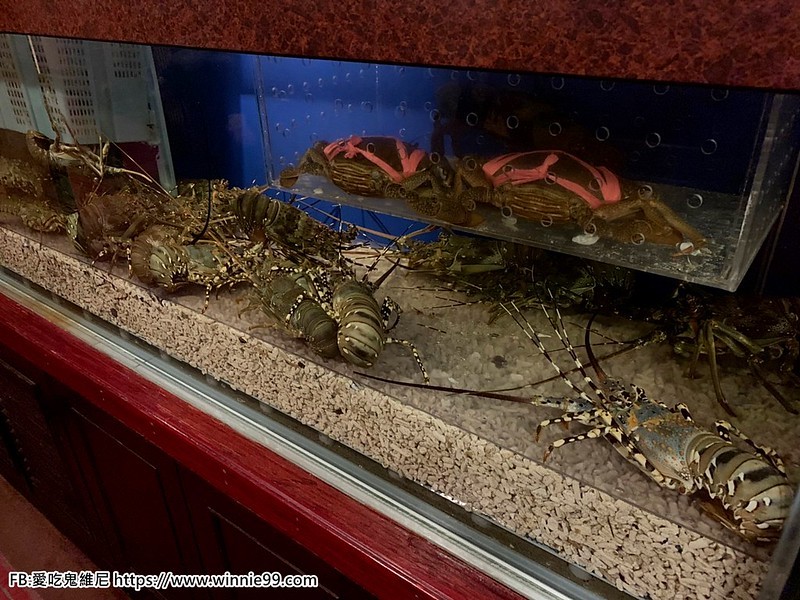 大富豪鐵板燒_200224_0019 大富豪鐵板燒_200224_0019