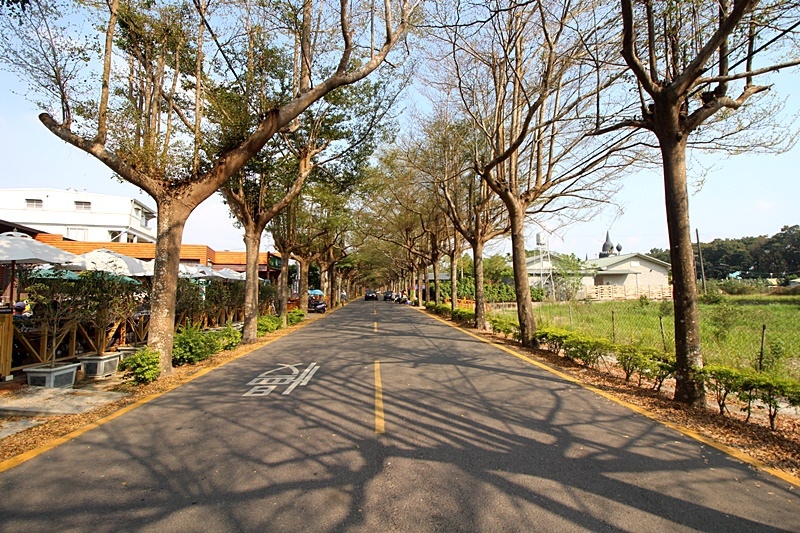 綠色隧道休閒園區咖啡潮州泗水 (13).JPG