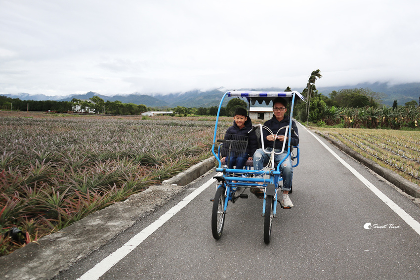 鹿野龍田自行車道 鹿野龍田自行車道