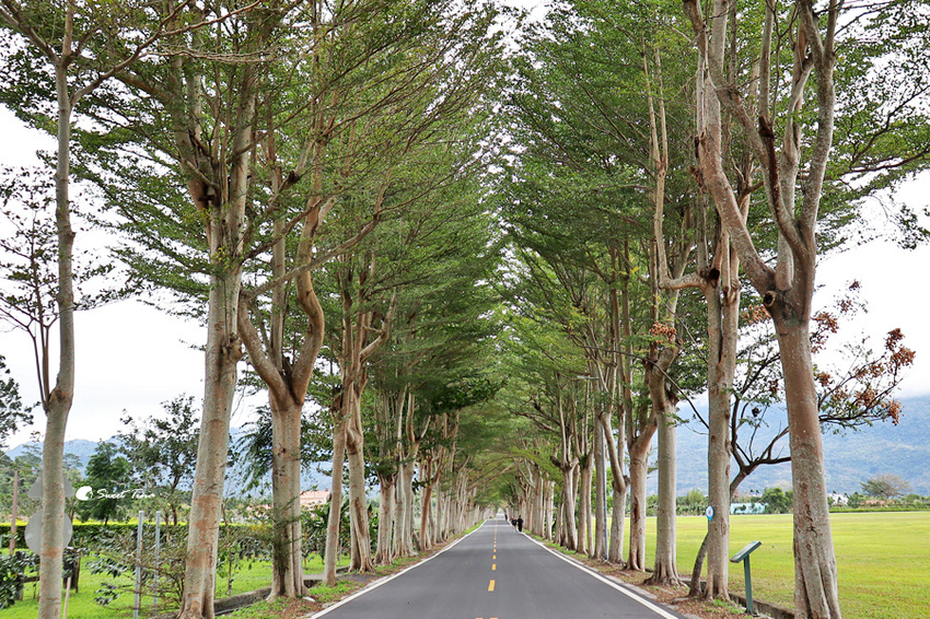 鹿野龍田自行車道 鹿野龍田自行車道