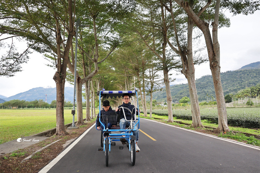 鹿野龍田自行車道 鹿野龍田自行車道