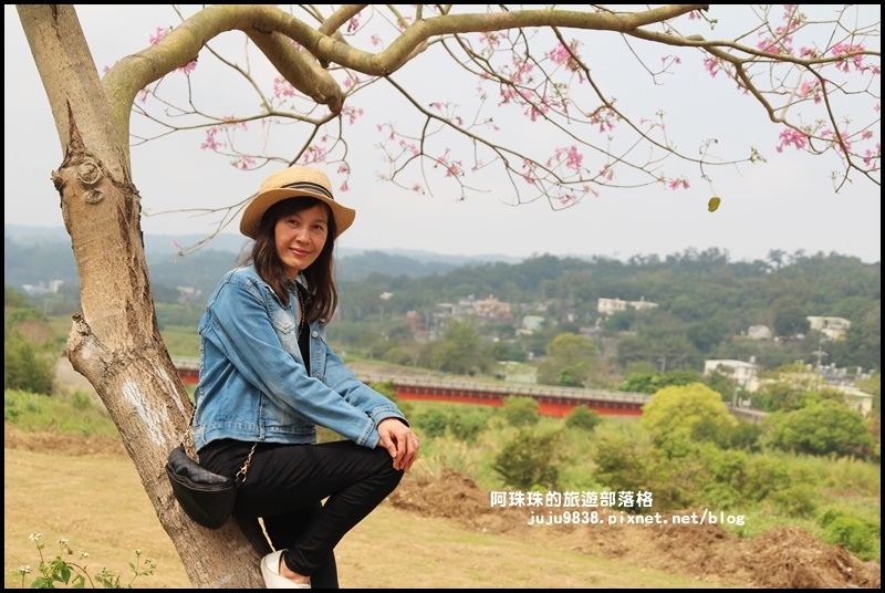巨埔休閒農場18.JPG