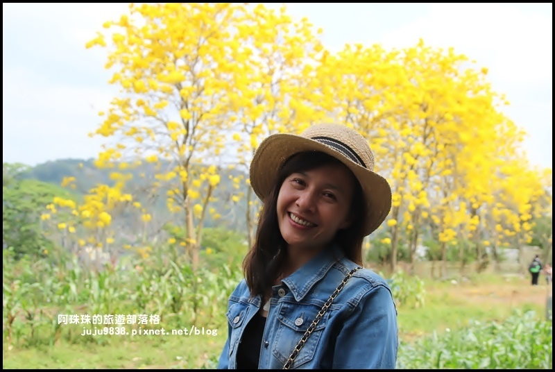 巨埔休閒農場9.JPG