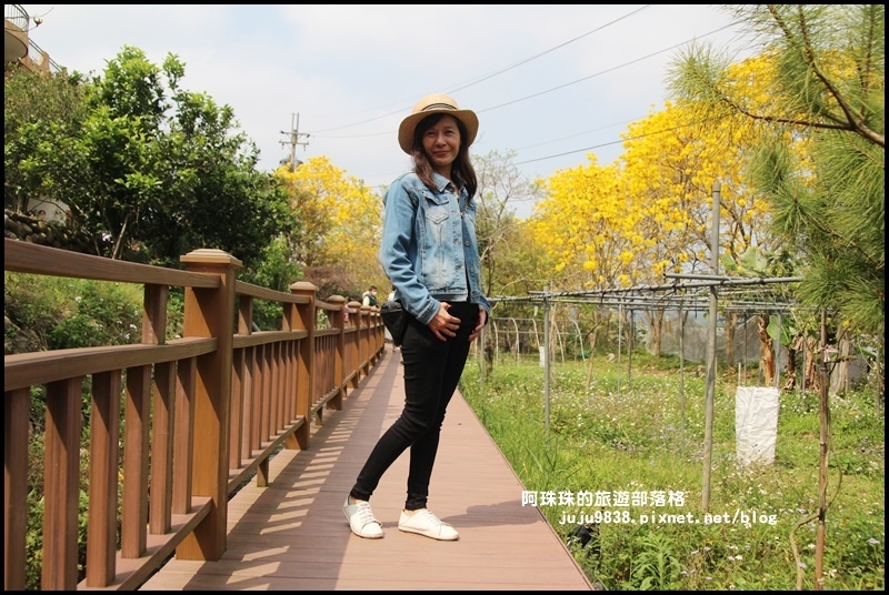 巨埔休閒農場4.JPG