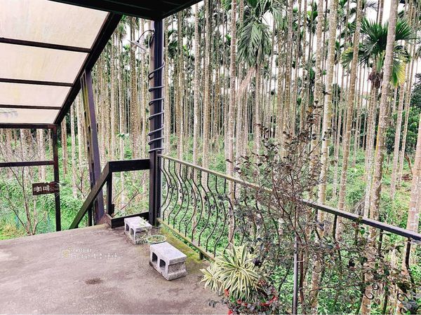 IMG_8040.JPG IMG_8040.JPG