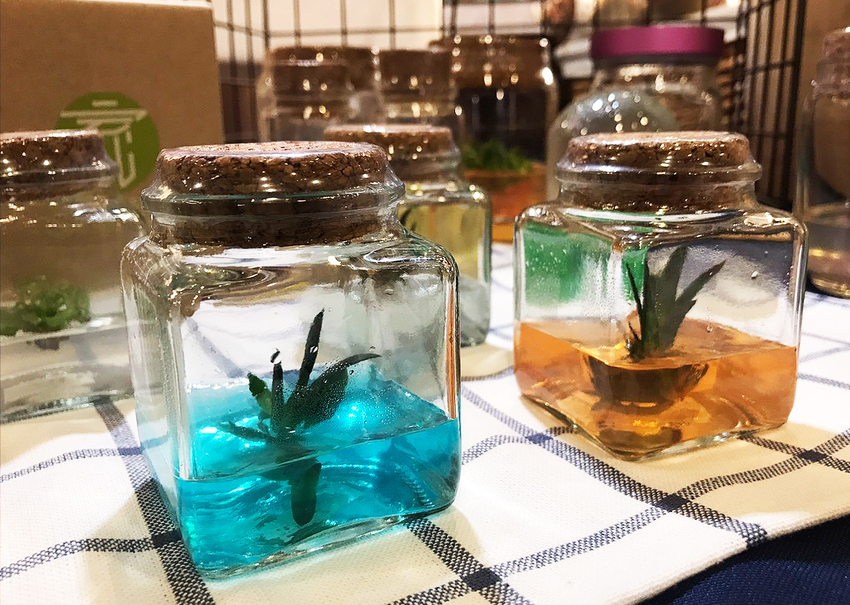 可愛的摩艾石像免費拿！「2020巨城親子手作市集」在新竹巨城開跑囉～