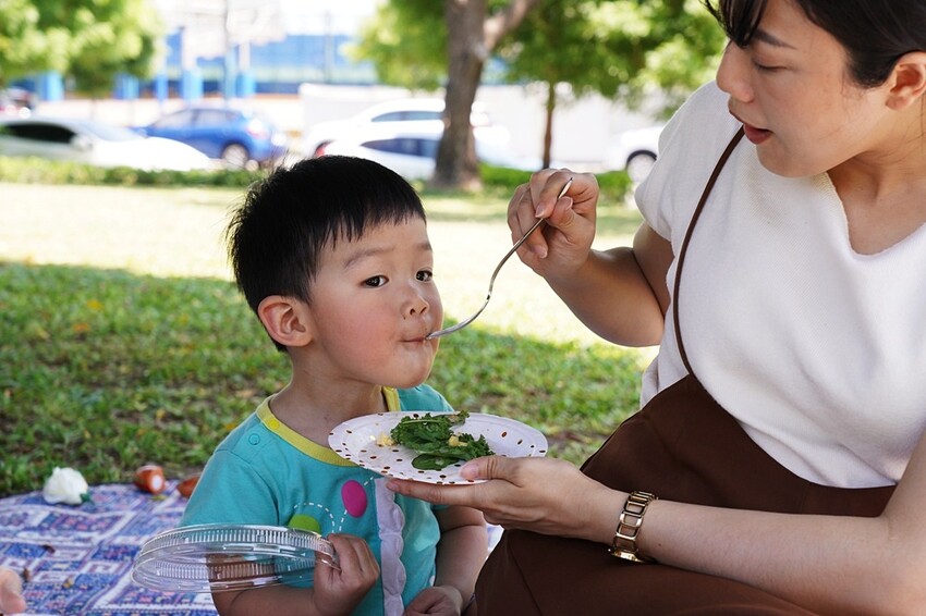 公園野餐第一次就上手!專業野餐盒,野餐道具免煩惱,輕鬆擁有浮誇派對~