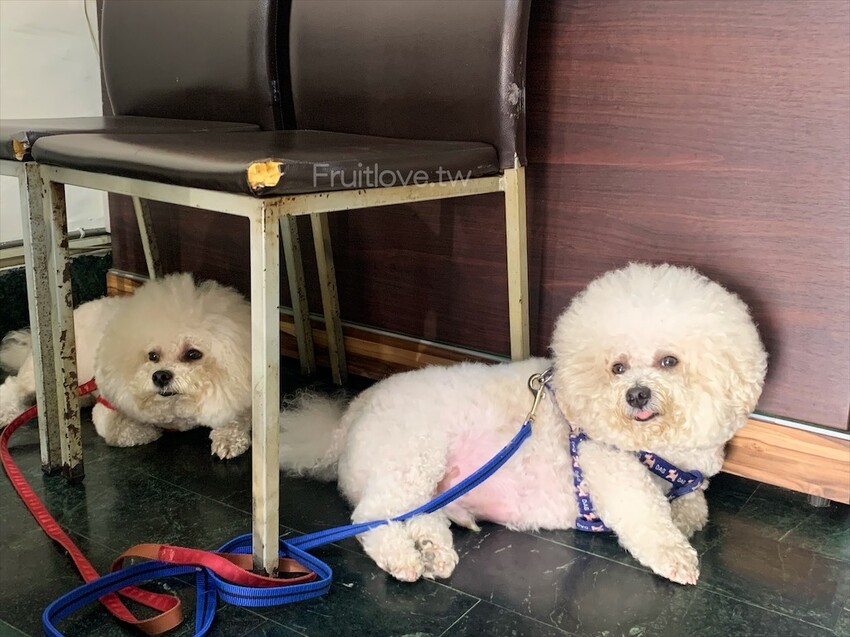 姜姐牛雜湯⟩台南南區美食，平價料多湯鮮甜的牛雜湯，內用白飯免費吃到飽，寵物友善餐廳 @果果愛Fruitlove