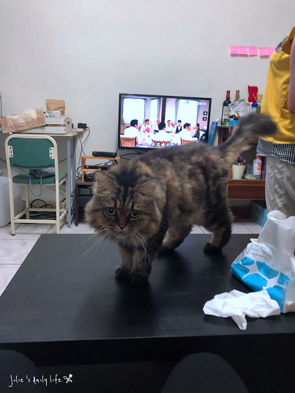 Glowcafe,一日遊,二手書,二手書店,將軍村,將軍村 影咖啡,將軍村 餐廳,將軍村市集,市集,新竹,新竹 將軍村,新竹將軍村,新竹市好吃,新竹市將軍村,新竹貨櫃市集,早午餐,林記冬粉鴨,玫瑰色二手書,甜點,老屋,花店,鴨肉 @跟著Julie一起走吧