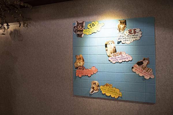 肉球森林初訪 - 16