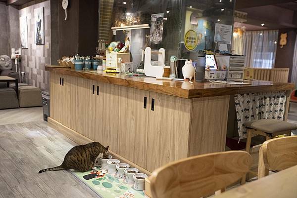 肉球森林初訪 - 21