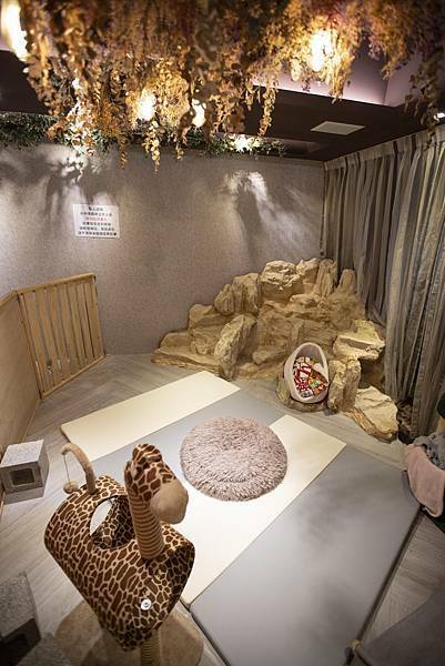 肉球森林初訪 - 24