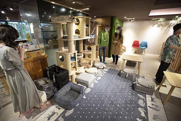 肉球森林初訪 - 15