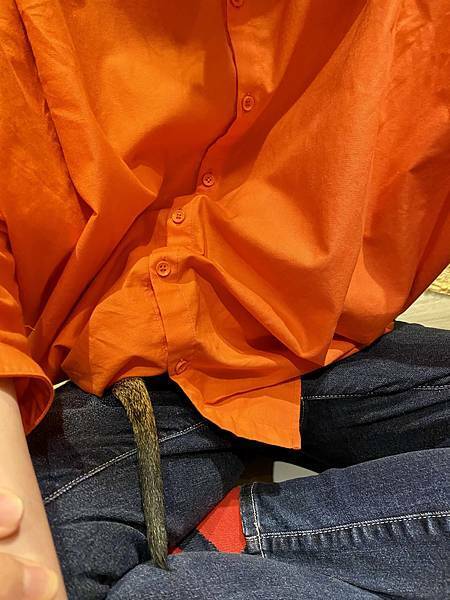 肉球森林初訪 - 35