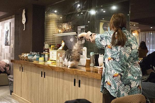 肉球森林初訪 - 1