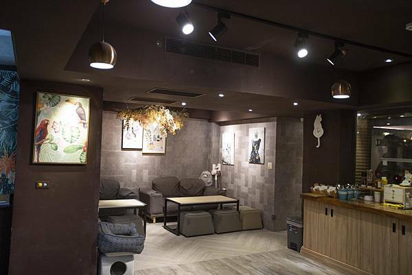 肉球森林初訪 - 23