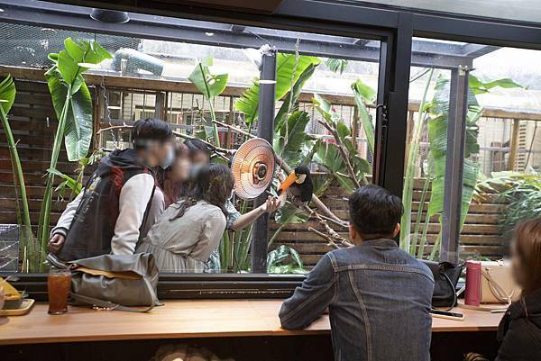 肉球森林初訪 - 4