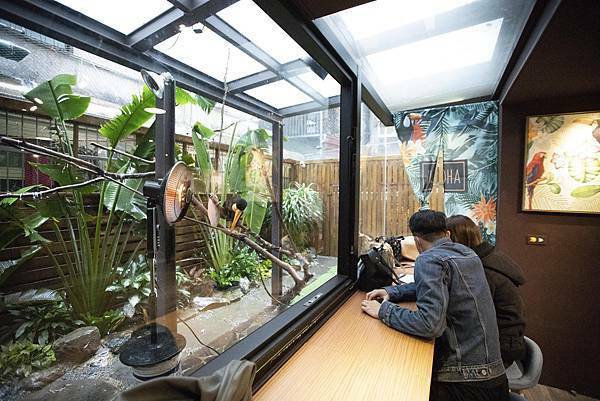 肉球森林初訪 - 7