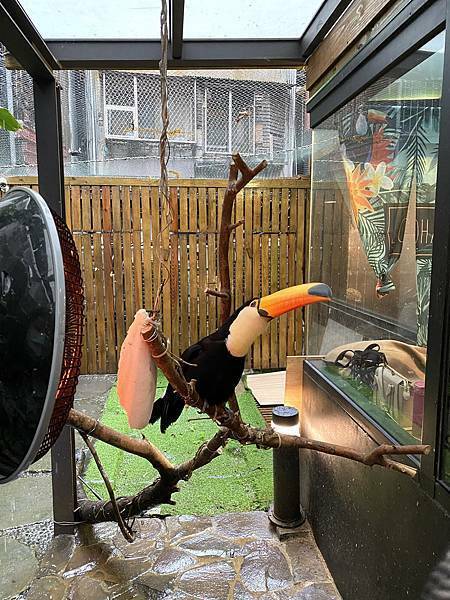 肉球森林初訪 - 34