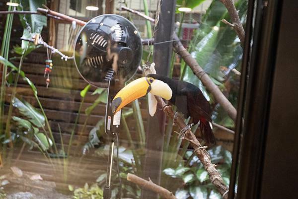 肉球森林初訪 - 22