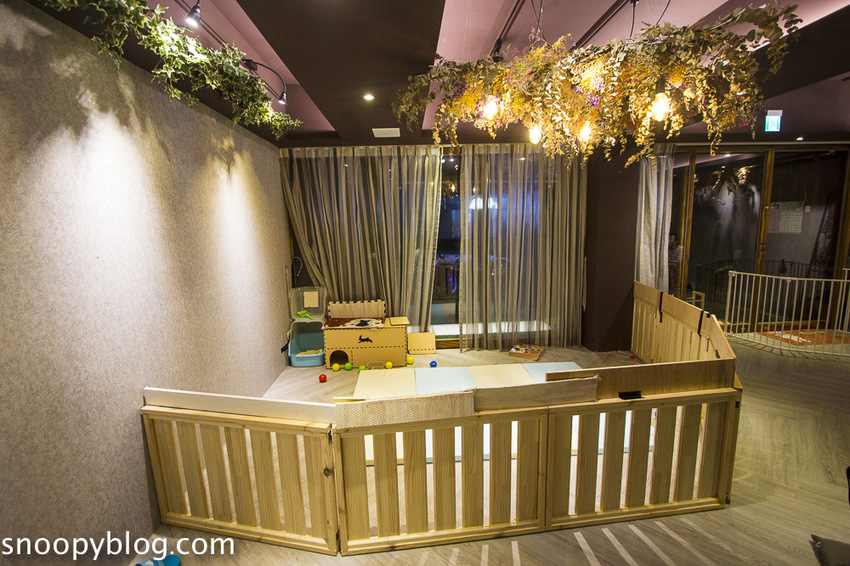 台北狐獴主題餐廳｜肉球森林～獅子王裡的丁滿真實現身，能與貓咪、狐獴與大嘴鳥親密互動超級療癒