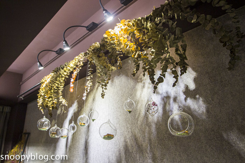 台北狐獴主題餐廳｜肉球森林～獅子王裡的丁滿真實現身，能與貓咪、狐獴與大嘴鳥親密互動超級療癒