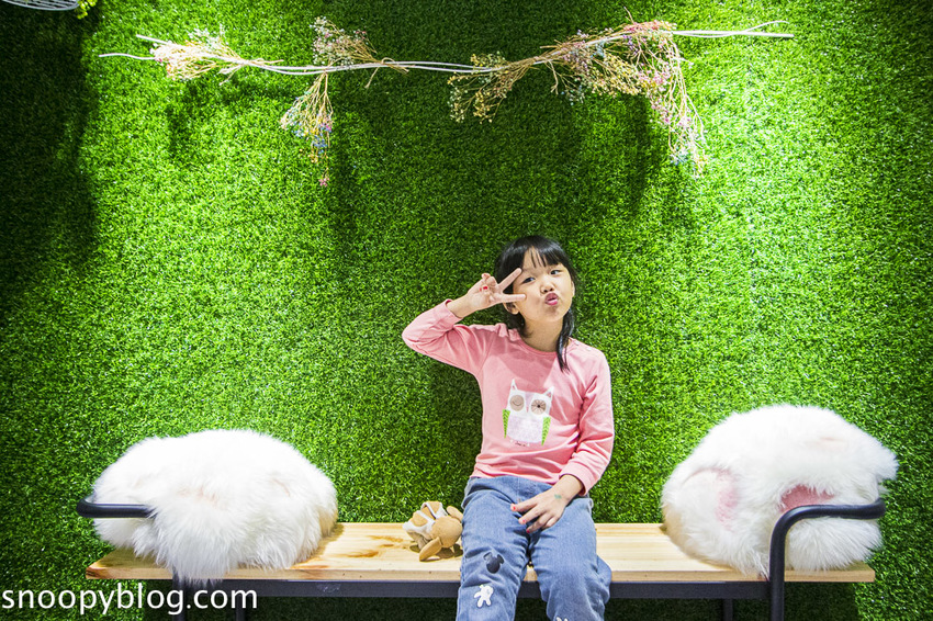 台北狐獴主題餐廳｜肉球森林～獅子王裡的丁滿真實現身，能與貓咪、狐獴與大嘴鳥親密互動超級療癒