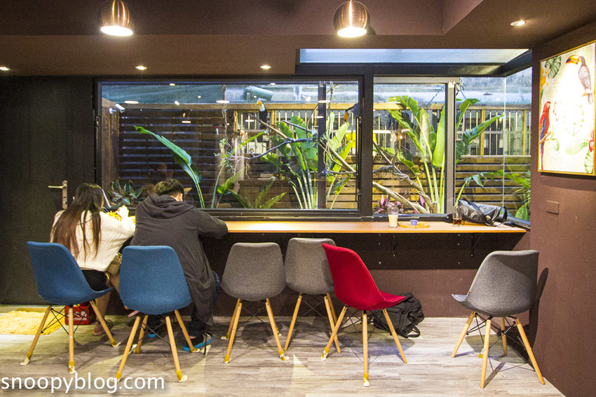 台北狐獴主題餐廳｜肉球森林～獅子王裡的丁滿真實現身，能與貓咪、狐獴與大嘴鳥親密互動超級療癒