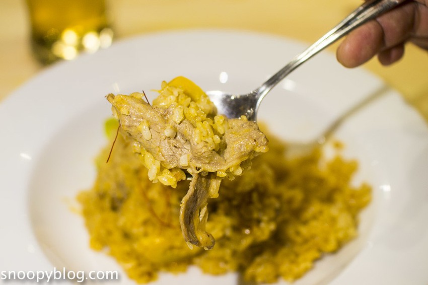 台北狐獴主題餐廳｜肉球森林～獅子王裡的丁滿真實現身，能與貓咪、狐獴與大嘴鳥親密互動超級療癒