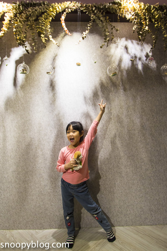 台北狐獴主題餐廳｜肉球森林～獅子王裡的丁滿真實現身，能與貓咪、狐獴與大嘴鳥親密互動超級療癒