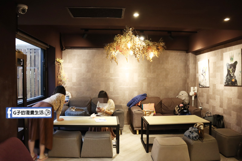 台北東門站/永康街-肉球森林.動物主題餐廳.狐獴.貓.大嘴鳥