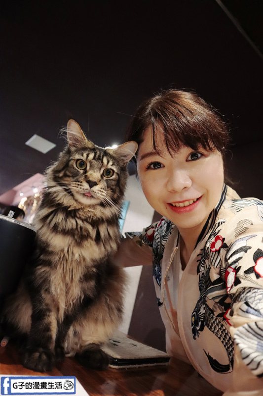 台北東門站/永康街-肉球森林.動物主題餐廳.狐獴.貓.大嘴鳥