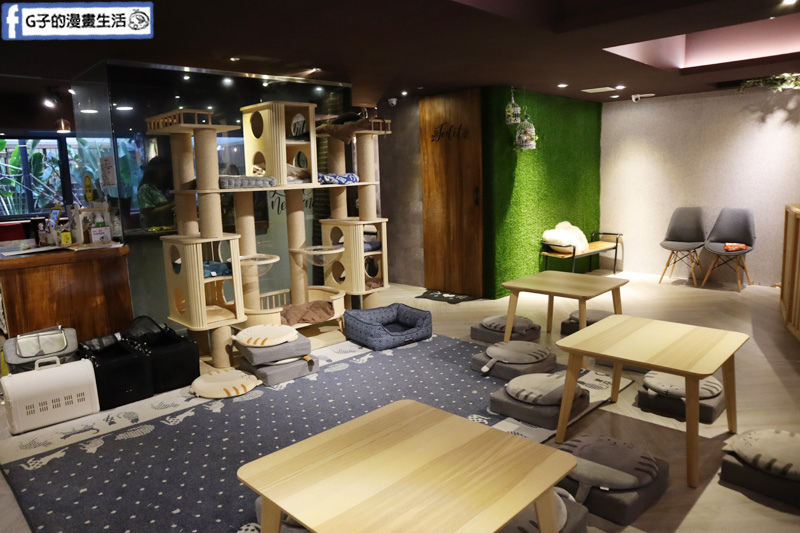 台北東門站/永康街-肉球森林.動物主題餐廳.狐獴.貓.大嘴鳥