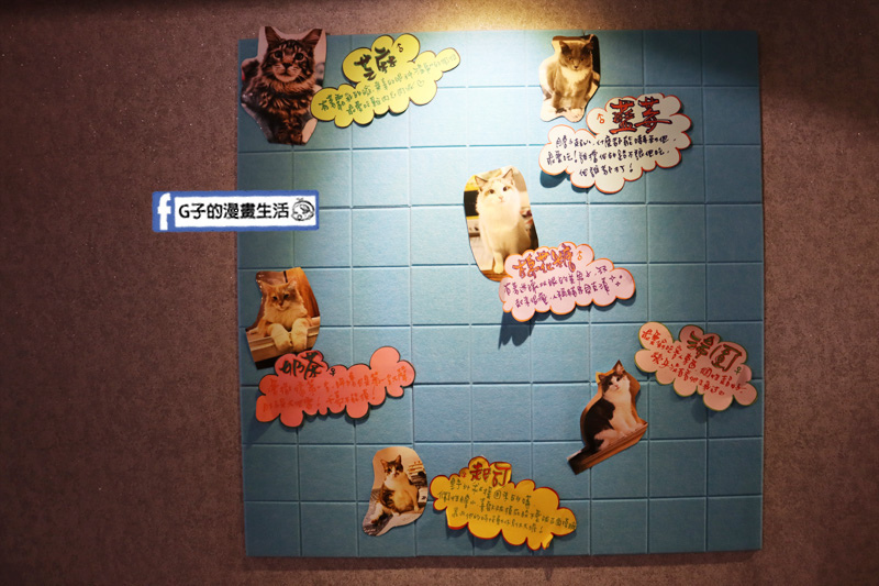 台北東門站/永康街-肉球森林.動物主題餐廳.狐獴.貓.大嘴鳥