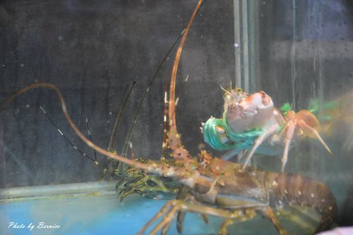 0531 2-望海亭05.jpg