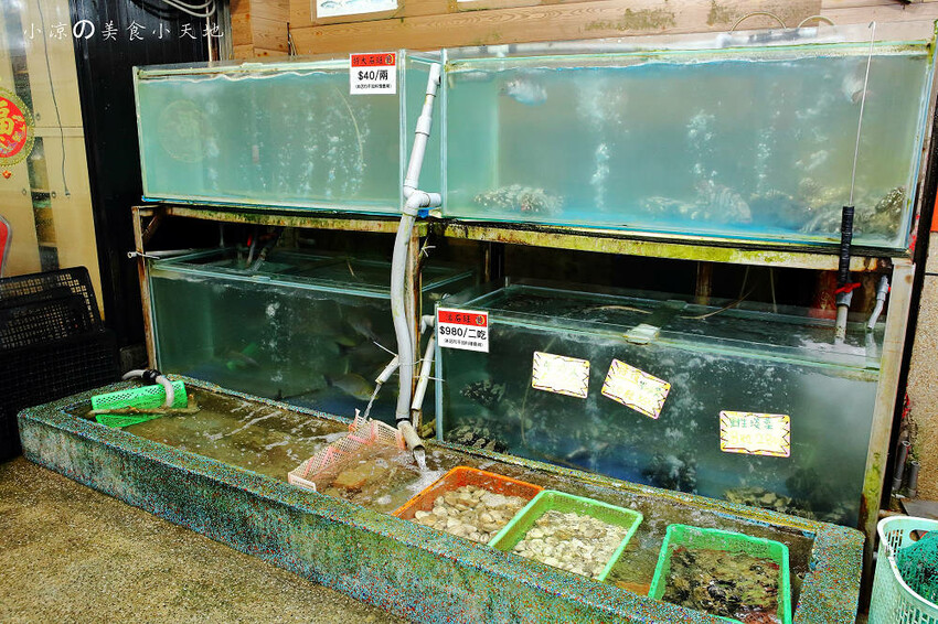 野柳海鮮推薦!望海亭海鮮餐廳,桌菜只要6000還有龍蝦!大口吃現撈活海鮮來這就對了!