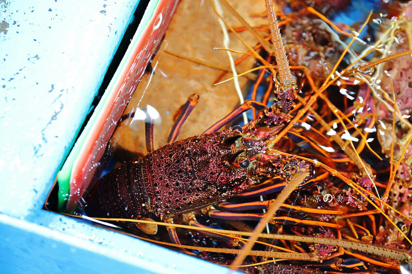 野柳海鮮推薦!望海亭海鮮餐廳,桌菜只要6000還有龍蝦!大口吃現撈活海鮮來這就對了!