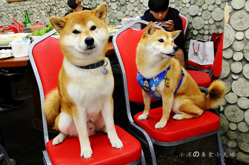 野柳海鮮推薦!望海亭海鮮餐廳,桌菜只要6000還有龍蝦!大口吃現撈活海鮮來這就對了!