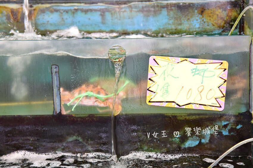 野柳望海亭海鮮餐廳｜超新鮮現撈活海鮮，活龍蝦一隻$680，現