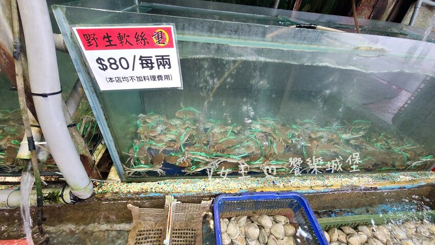 野柳望海亭海鮮餐廳｜超新鮮現撈活海鮮，活龍蝦一隻$680，現